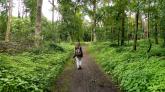 Rund um den Tierpark Tannenbusch führen schöne Wege durch den Wald.