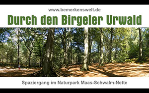 Bild "AUSFLUG:Video-Wassenberg-Birgeler-Urwald_300.jpg"